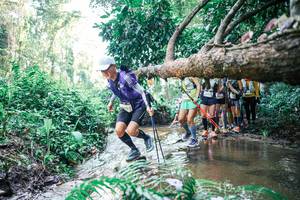 BIB: 
                            <button type="button" onclick="openModal(25467253)" class="btn btn-primary btn-sm float-right btn-popup" data-toggle="modal" data-target=".modal-high-quality">
                        <i class="fas fa-shopping-cart"></i> Add to Cart
                    </button>
                                            <button type="button" onclick="isThisMe(25467253, true)" class="btn btn-success btn-sm float-right btn-popup btn-isme hidden" data-toggle="tooltip" data-placement="bottom" title="นี่คือรูปของคุณใช่ไหม คลิกที่นี่เพื่อเอาเข้าอัลบั้ม">
                        <i class="fas fa-plus"></i> Add to album
                    </button>
                    <button type="button" onclick="isThisMe(25467253, false)" class="btn btn-warning btn-sm float-right btn-popup btn-isnotme hidden">
                        <i class="fas fa-ban"></i> Remove from album
                    </button>